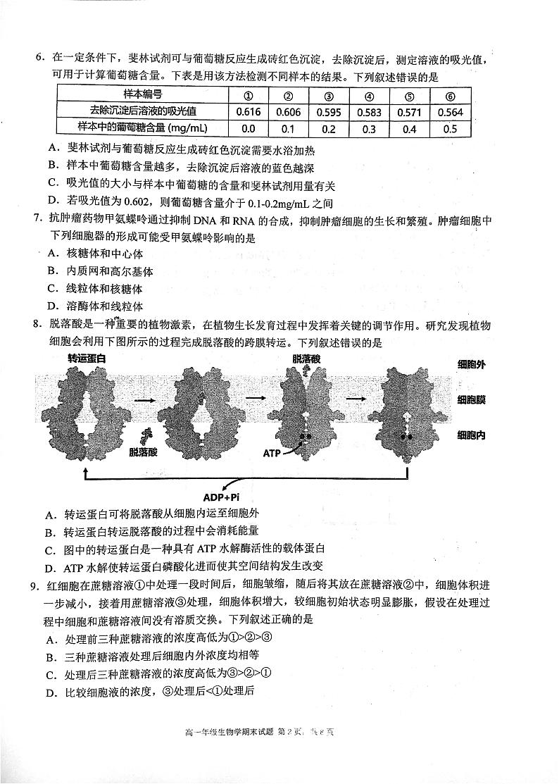 湖北省武汉市东西湖区华中师范大学第一附属中学2023-2024学年高一上学期1月期末生物试题02
