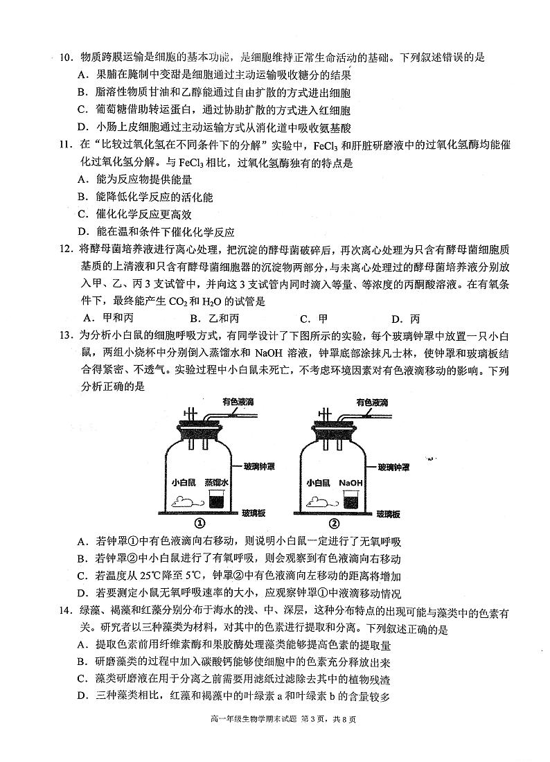 湖北省武汉市东西湖区华中师范大学第一附属中学2023-2024学年高一上学期1月期末生物试题03