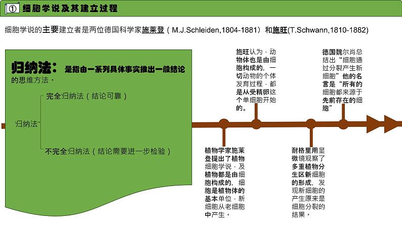 高中生物人教版必修一第一章第1节-细胞是生命活动的基本单位-课件03