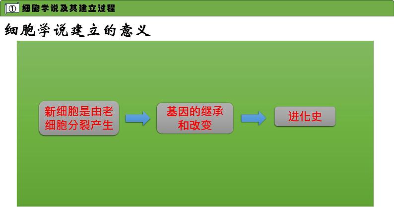 高中生物人教版必修一第一章第1节-细胞是生命活动的基本单位-课件05