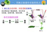 人教版高中生物必修二1.1孟德尔的豌豆杂交实验(一)教学课件