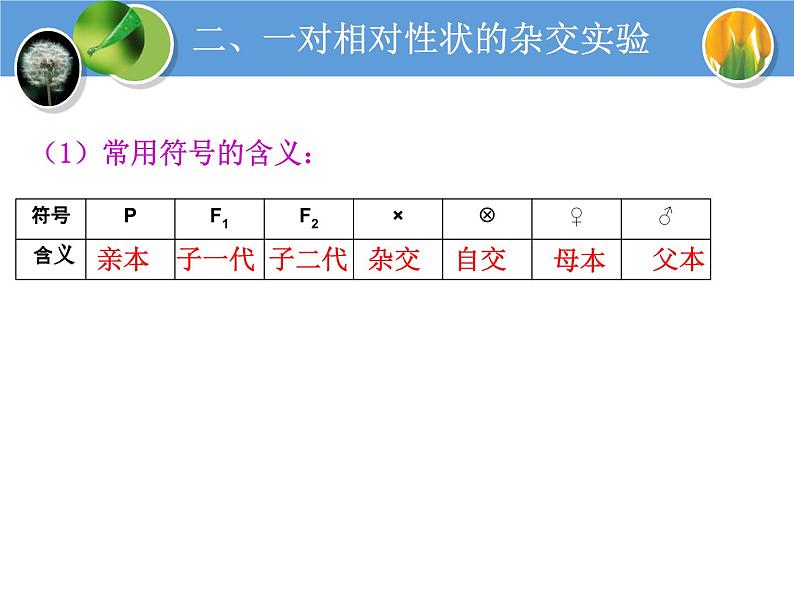 人教版高中生物必修二1.1孟德尔的豌豆杂交实验(一)教学课件05