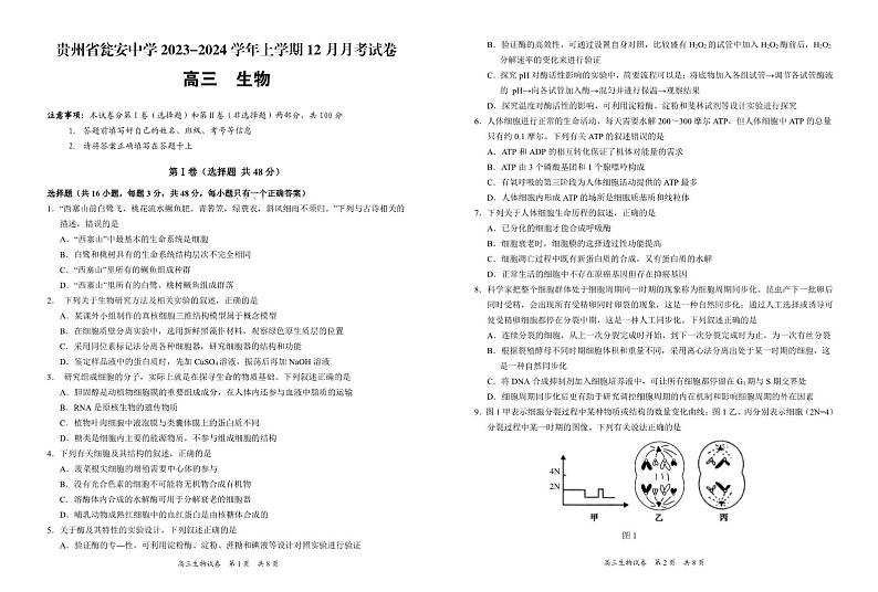 贵州省黔南布依族苗族自治州瓮安县瓮安中学2023-2024学年高三上学期12月考生物试卷(1)第1页