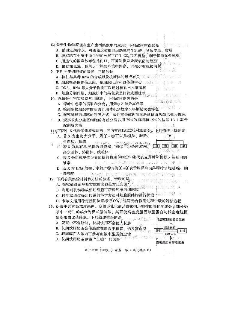 福建省漳州市2023-2024学年高一上学期1月期末生物试题第2页