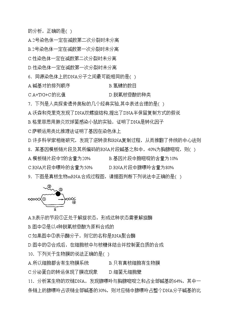湖南省邵东市第三中学2023-2024学年高二上学期第一次月考生物试卷(含答案)第2页
