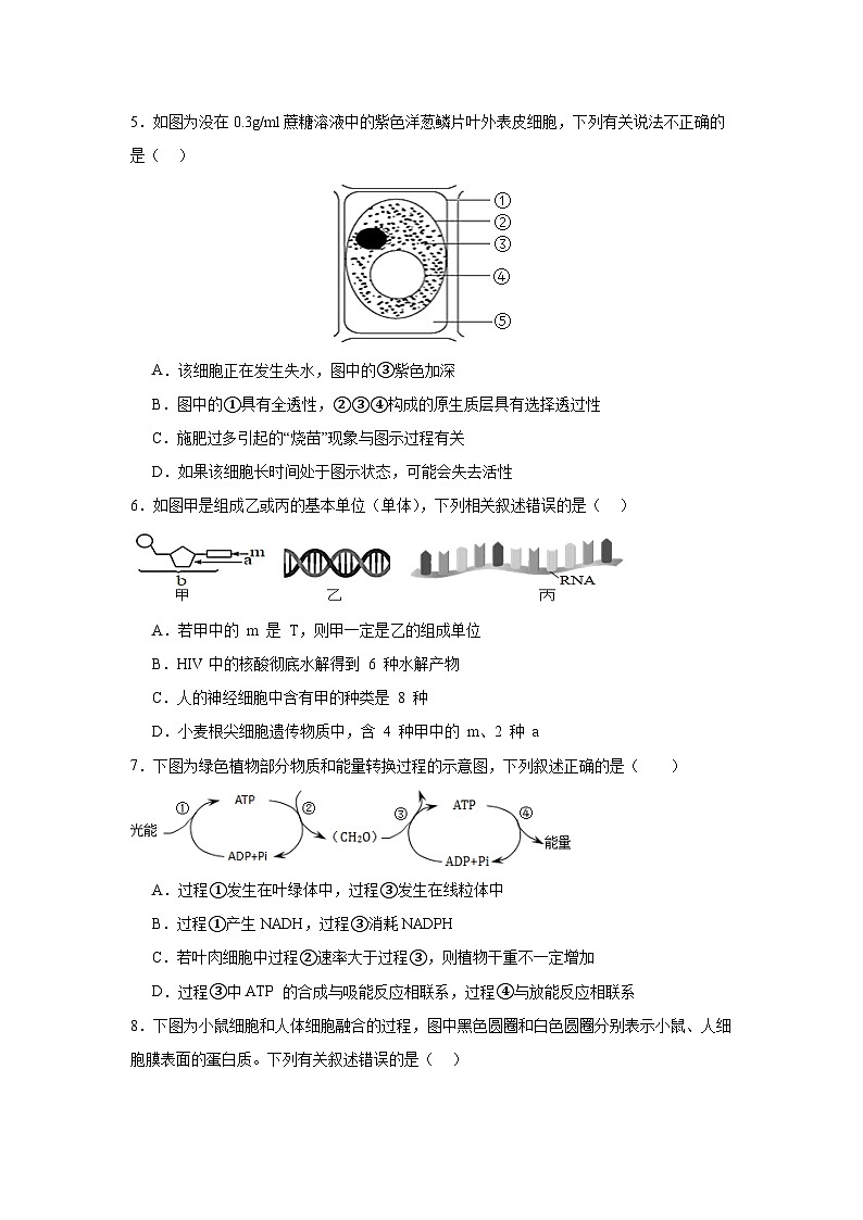 湖南省娄底市涟源市2023-2024学年高一上学期1月期末分班选科考试生物试题第2页