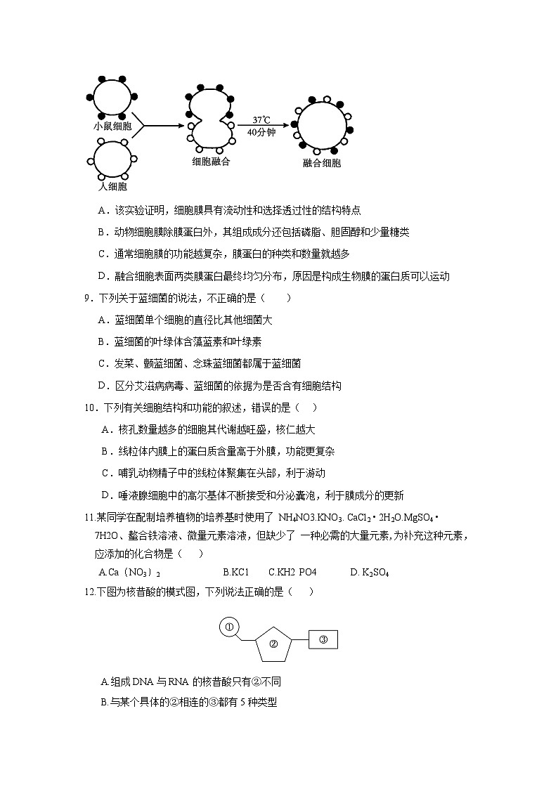 湖南省娄底市涟源市2023-2024学年高一上学期1月期末分班选科考试生物试题第3页
