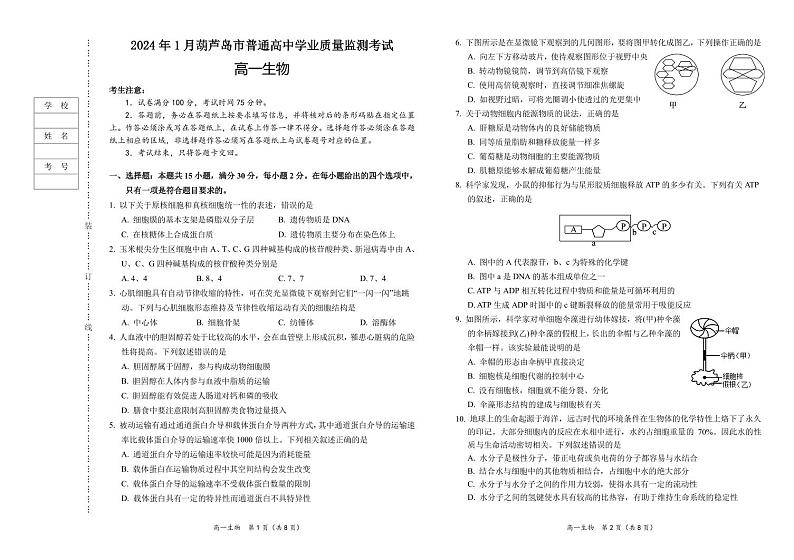 2024葫芦岛高一上学期期末试题生物PDF版含答案（可编辑）第1页