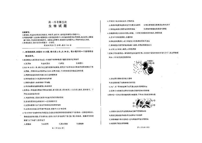 2024衡水中学高一上学期1月期末考试生物PDF版含解析01