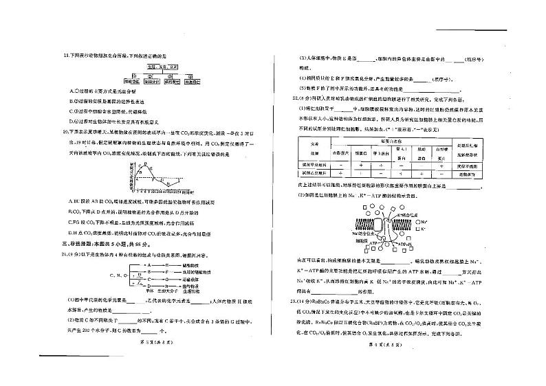 2024衡水中学高一上学期1月期末考试生物PDF版含解析03
