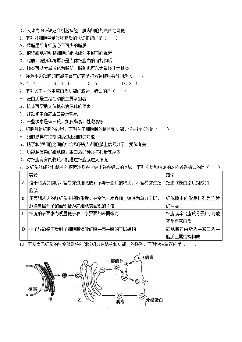 2024郑州高一上学期期末考试生物含答案02