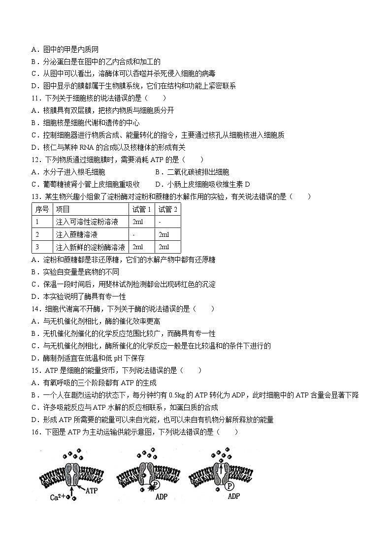 2024郑州高一上学期期末考试生物含答案03