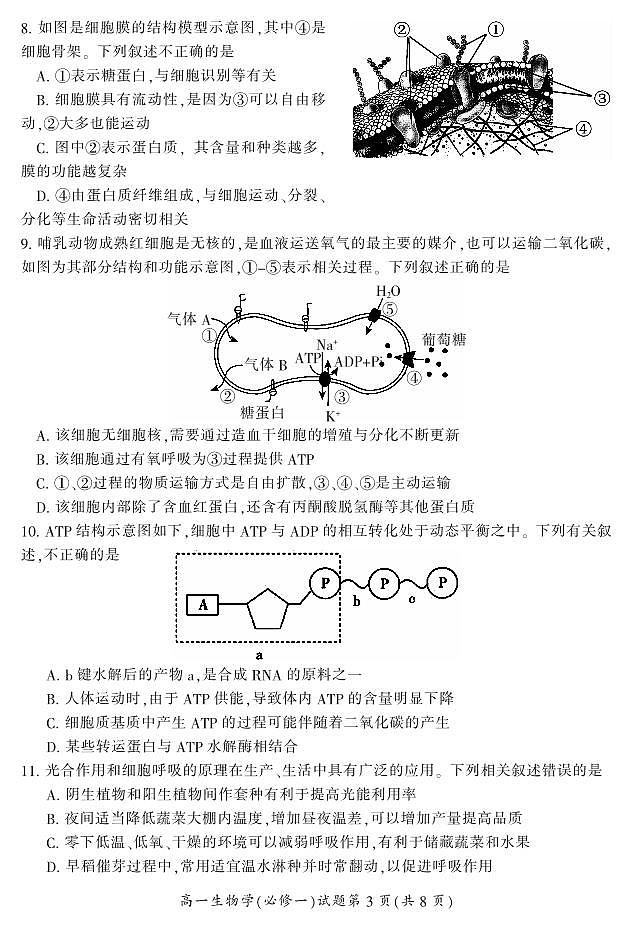 2024郴州高一上学期期末试题生物PDF版含答案第3页