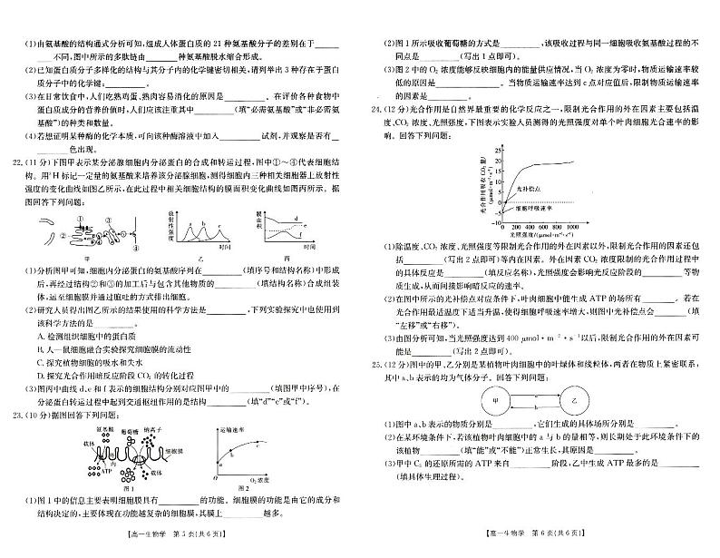 河南省新乡市2023-2024学年高一上学期期末考试生物试题（PDF版附解析）03