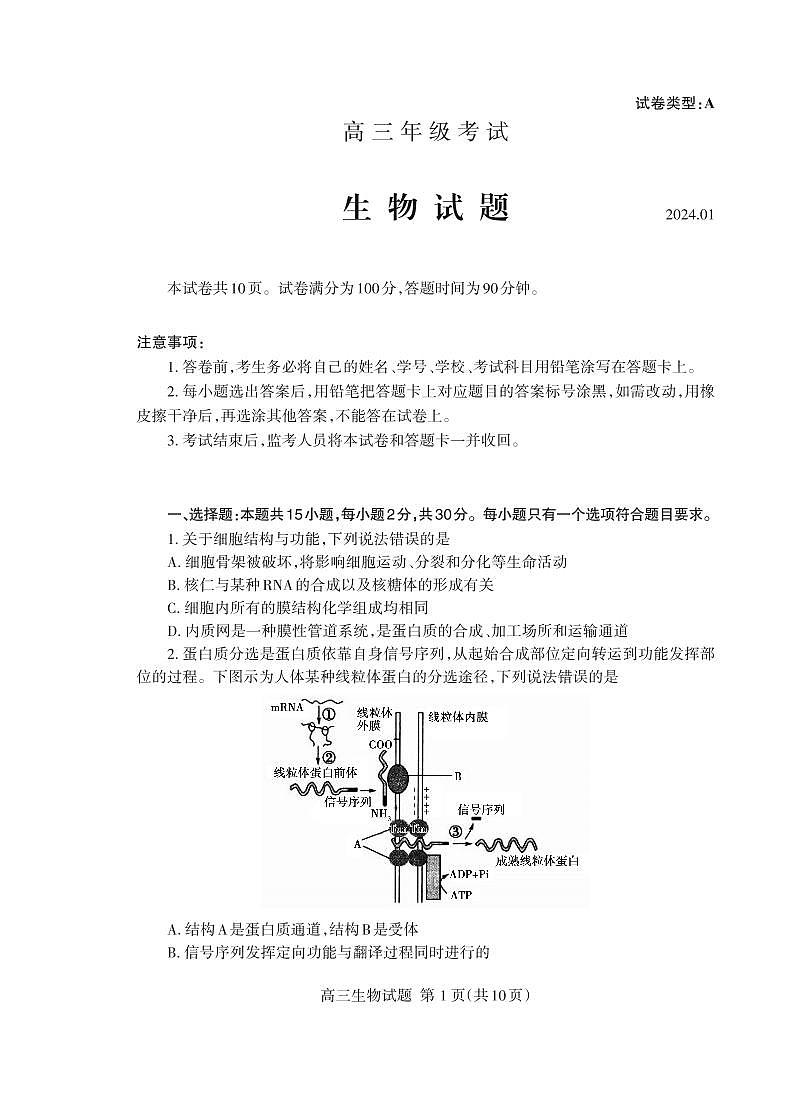 山东省泰安市2023-2024学年高三上学期期末考试生物试题（PDF版附答案）01