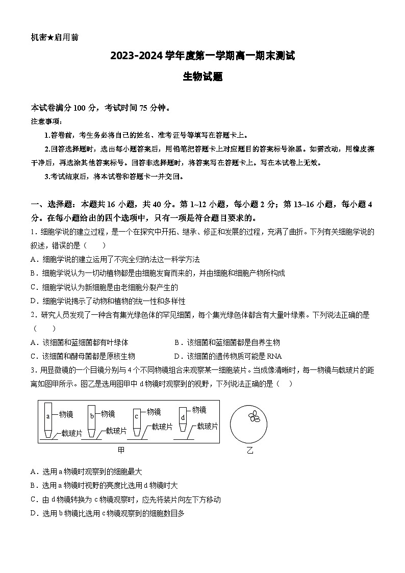广东省阳江市2023-2024学年高一上学期期末考试生物试题01