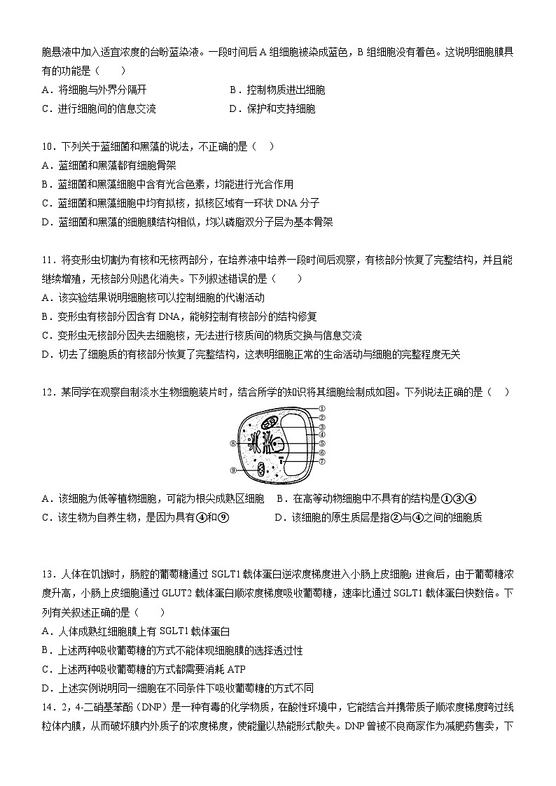 广东省阳江市2023-2024学年高一上学期期末考试生物试题03