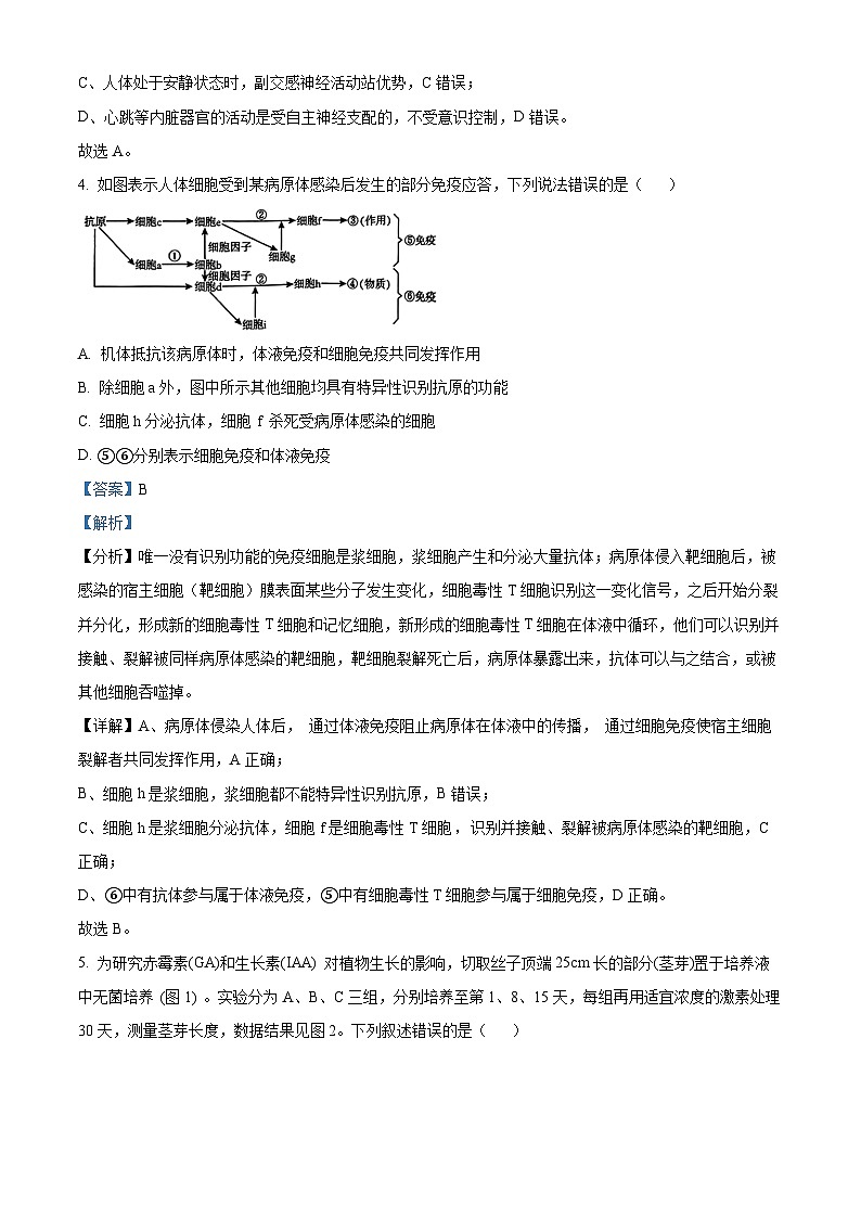 2024益阳高二上学期期末考试生物试题含解析03