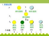 【人教版】高中生物必修二《 1.2 孟德尔的豌豆杂交实验（二）》课件