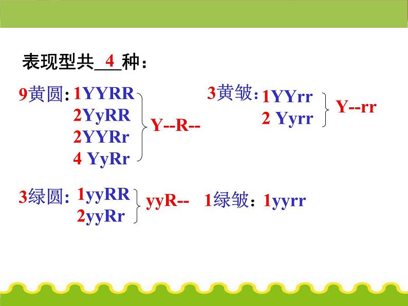 【人教版】高中生物必修二《 1.2 孟德尔的豌豆杂交实验（二）》课件06