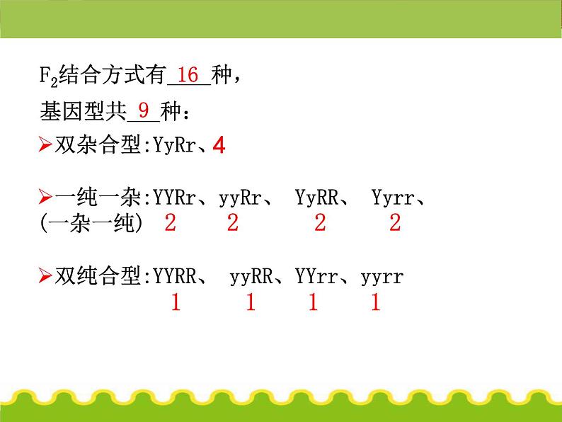 【人教版】高中生物必修二《 1.2 孟德尔的豌豆杂交实验（二）》课件08