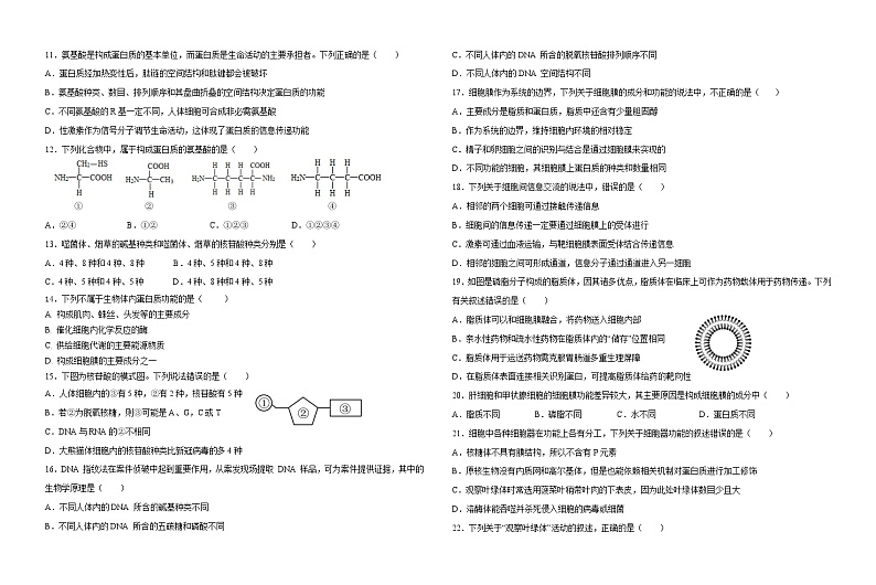 新教材2023-2024届高一期中生物卷第2页