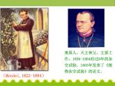 人教版生物必修2 课件第1章第1节孟德尔的豌豆杂交实验(一)课件(PPT)