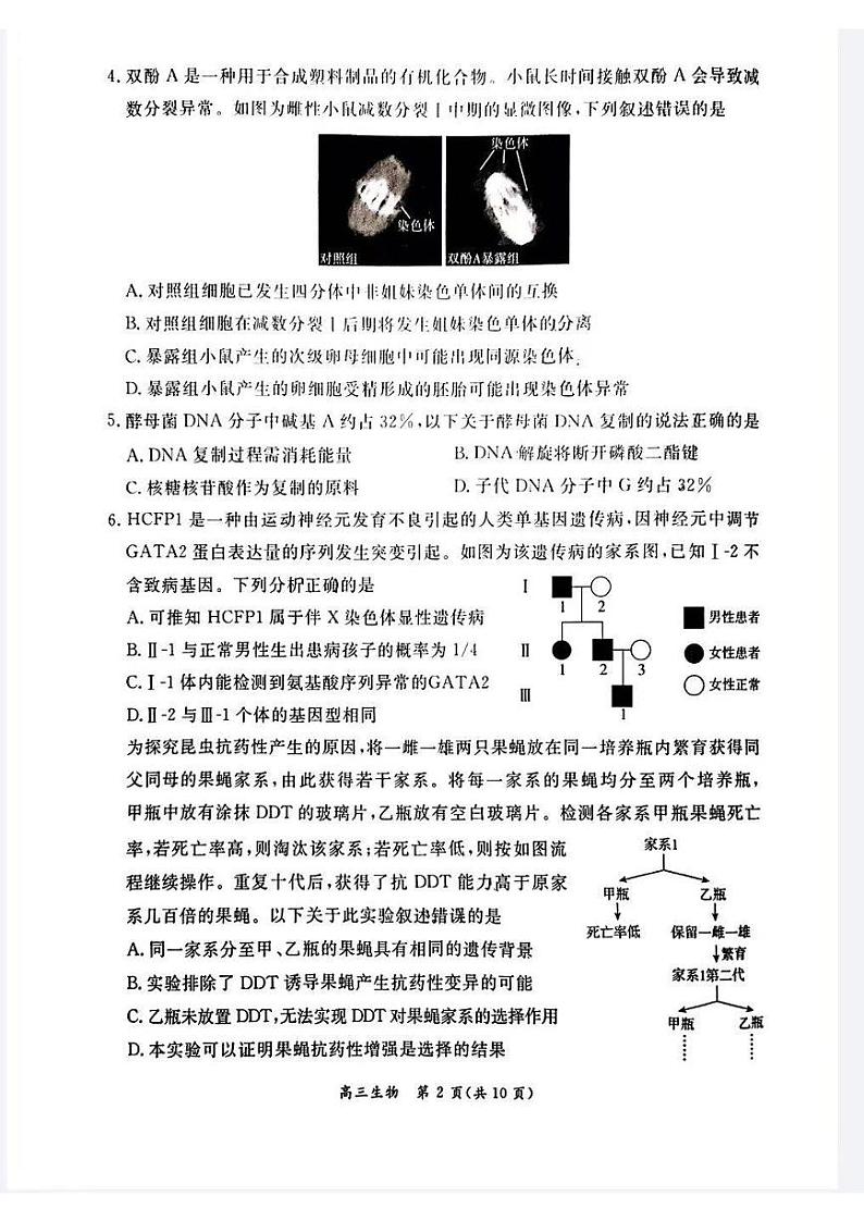 北京市东城区2024届高三上学期期末生物试卷及答案02