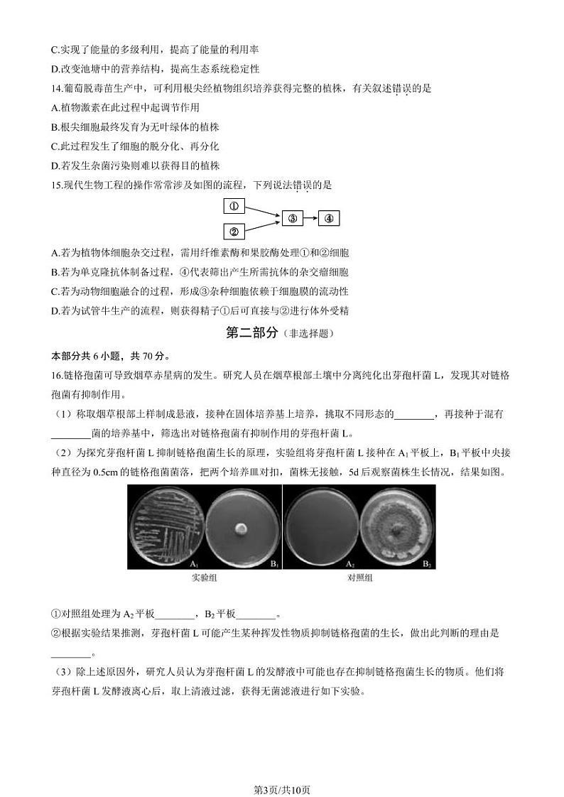 北京大兴区2023-2024高三上学期期末生物试卷及答案03