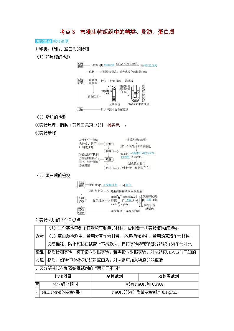 备考2024届高考生物一轮复习讲义第一章细胞的概述与分子组成课时2细胞中的无机物糖类和脂质考点3检测生物组织中的糖类脂肪蛋白质01