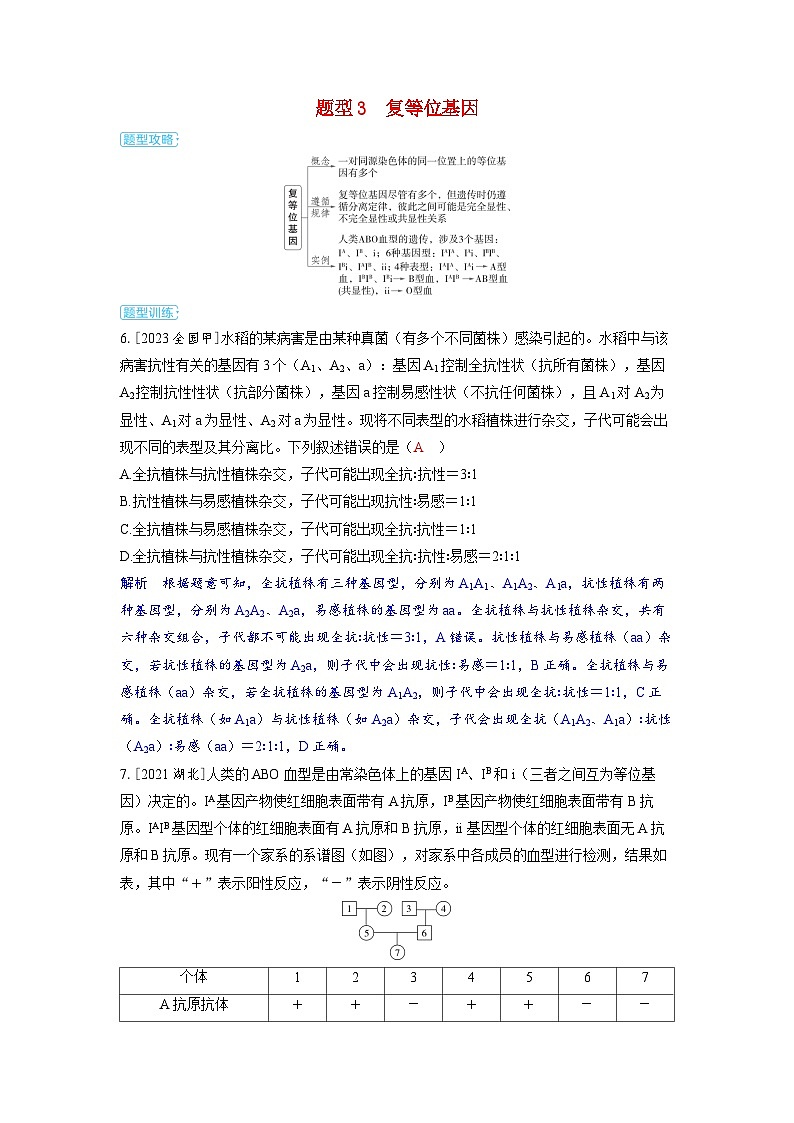 备考2024届高考生物一轮复习讲义第五章基因的传递规律微专题4基因分离定律的特例分析题型3复等位基因01