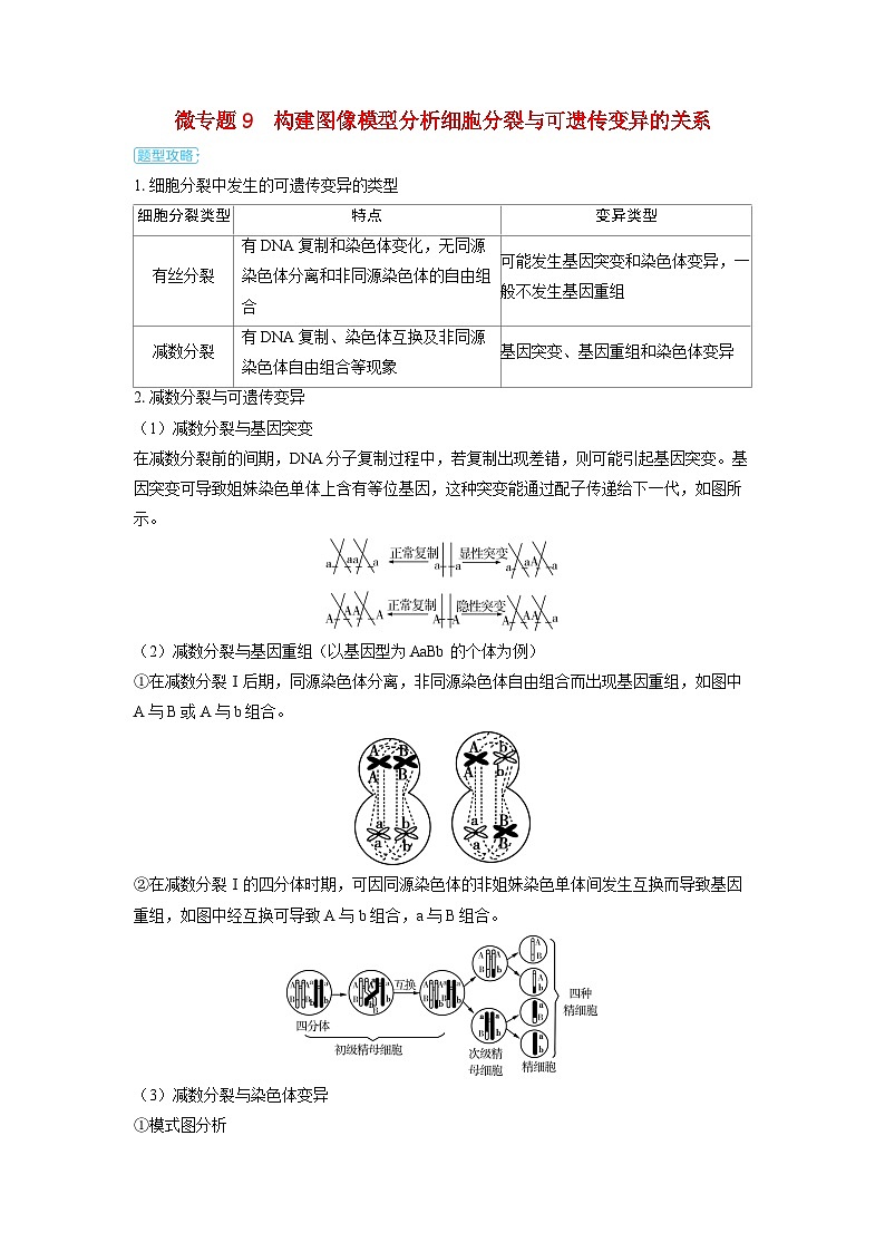 备考2024届高考生物一轮复习讲义第七章生物的变异和进化微专题9构建图像模型分析细胞分裂与可遗传变异的关系01