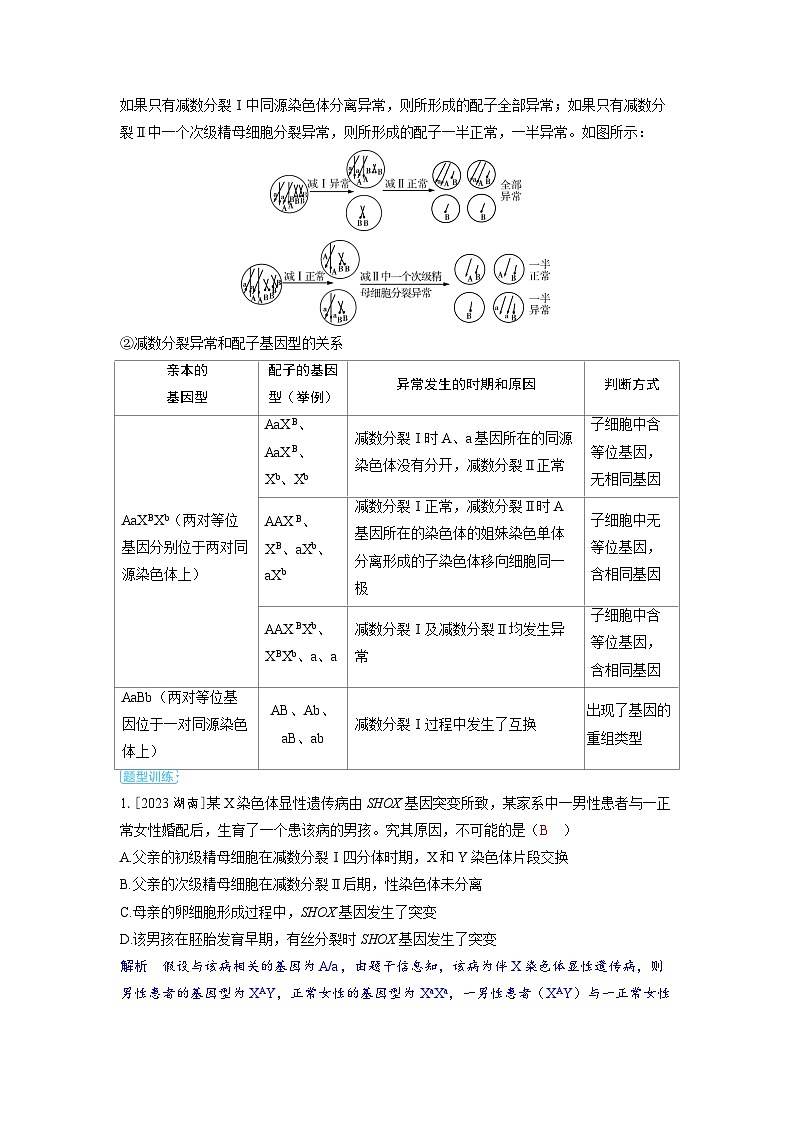备考2024届高考生物一轮复习讲义第七章生物的变异和进化微专题9构建图像模型分析细胞分裂与可遗传变异的关系02