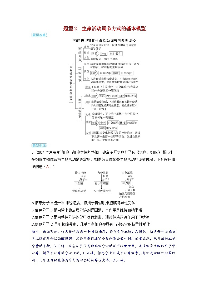 备考2024届高考生物一轮复习讲义第八章动物和人体生命活动的调节微专题12以下丘脑为核心构建生命活动调节模型题型2生命活动调节方式的基本模型01