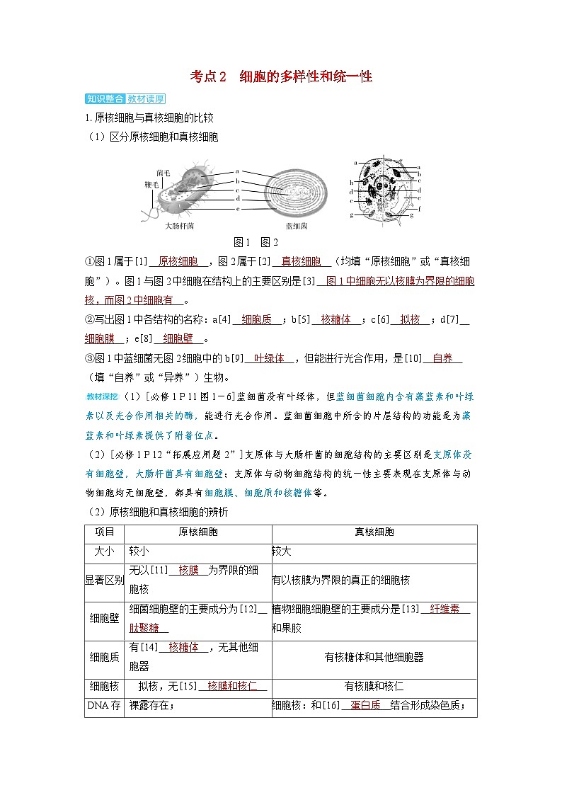 备考2024届高考生物一轮复习讲义第一章细胞的概述与分子组成课时1走近细胞考点2细胞的多样性和统一性01