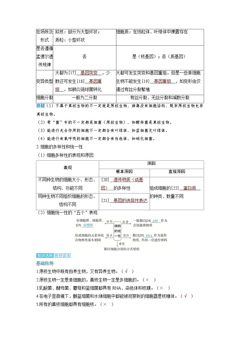 备考2024届高考生物一轮复习讲义第一章细胞的概述与分子组成课时1走近细胞考点2细胞的多样性和统一性02