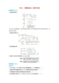 备考2024届高考生物一轮复习讲义第一章细胞的概述与分子组成课时3蛋白质和核酸考点2核酸的组成结构和功能