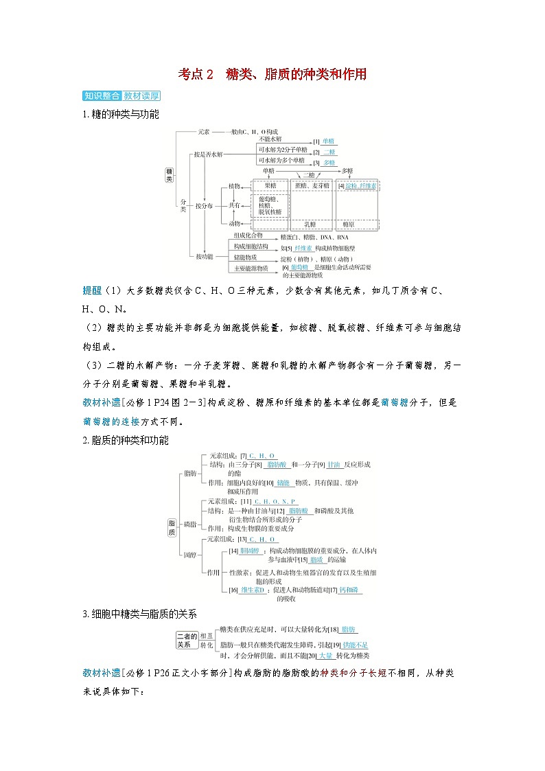 备考2024届高考生物一轮复习讲义第一章细胞的概述与分子组成课时2细胞中的无机物糖类和脂质考点2糖类脂质的种类和作用第1页