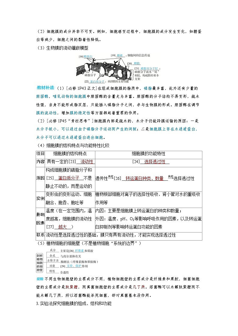 备考2024届高考生物一轮复习讲义第二章细胞的基本结构和物质的运输课时1细胞膜和细胞核的结构和功能考点1细胞膜的组成结构和功能03