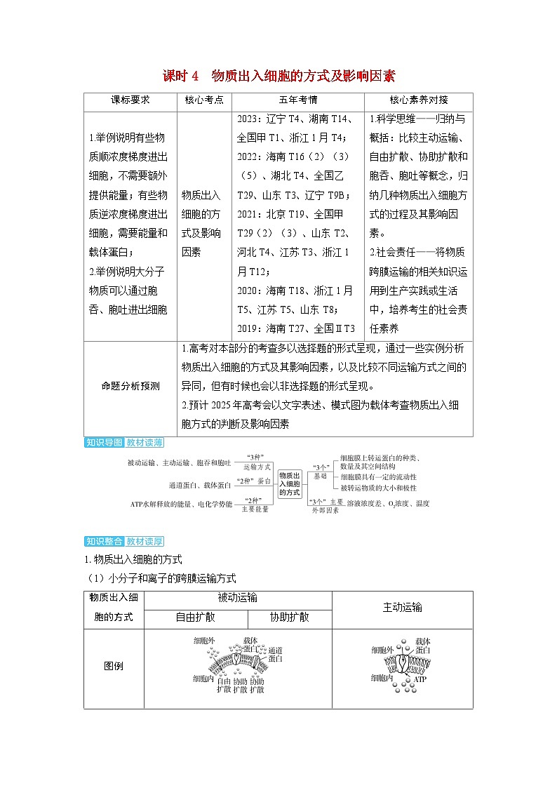 备考2024届高考生物一轮复习讲义第二章细胞的基本结构和物质的运输课时4物质出入细胞的方式及影响因素01