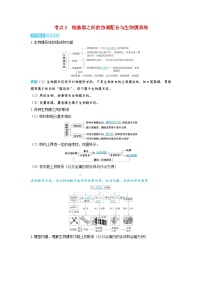 备考2024届高考生物一轮复习讲义第二章细胞的基本结构和物质的运输课时2细胞器和生物膜系统考点3细胞器之间的协调配合与生物膜系统