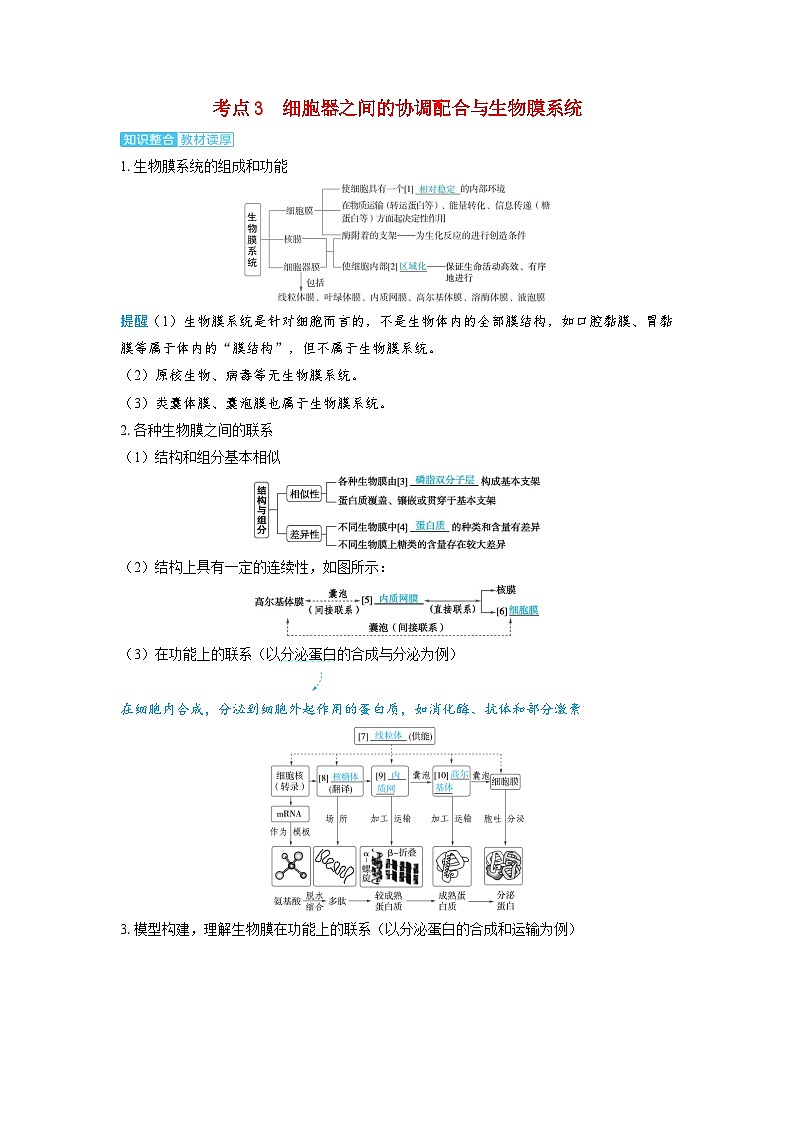 备考2024届高考生物一轮复习讲义第二章细胞的基本结构和物质的运输课时2细胞器和生物膜系统考点3细胞器之间的协调配合与生物膜系统01