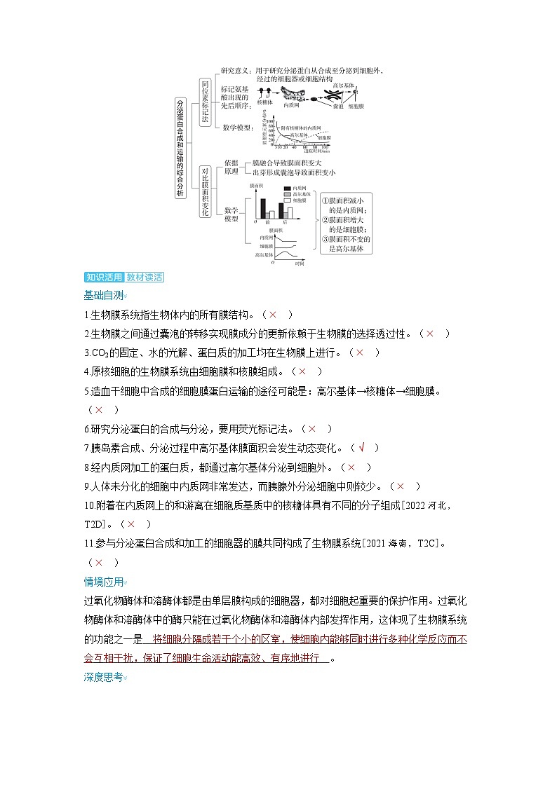 备考2024届高考生物一轮复习讲义第二章细胞的基本结构和物质的运输课时2细胞器和生物膜系统考点3细胞器之间的协调配合与生物膜系统02