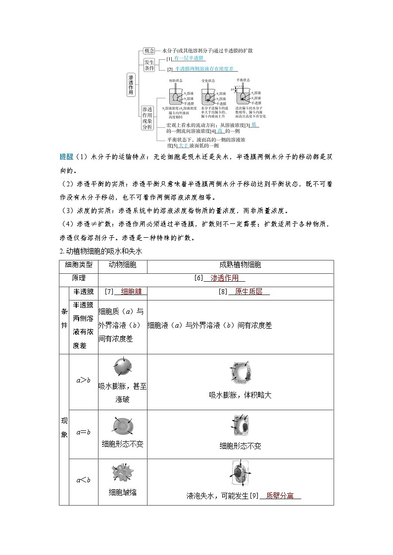 备考2024届高考生物一轮复习讲义第二章细胞的基本结构和物质的运输课时3细胞的吸水和失水考点1渗透作用与动植物细胞的吸水和失水第2页