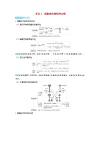 备考2024届高考生物一轮复习讲义第二章细胞的基本结构和物质的运输课时1细胞膜和细胞核的结构和功能考点2细胞核的结构和功能