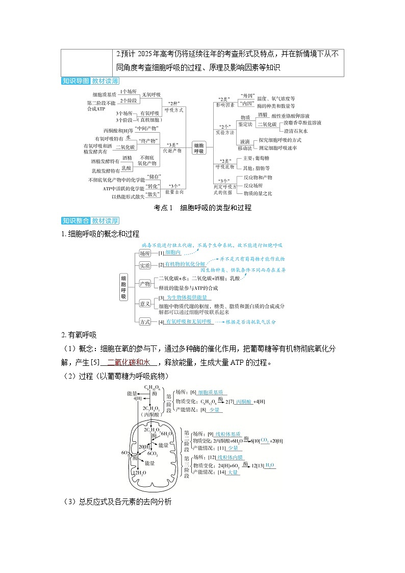 备考2024届高考生物一轮复习讲义第三章细胞代谢课时3细胞呼吸的原理和应用考点1细胞呼吸的类型和过程02