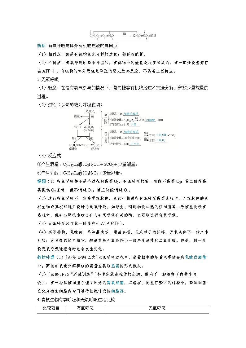 备考2024届高考生物一轮复习讲义第三章细胞代谢课时3细胞呼吸的原理和应用考点1细胞呼吸的类型和过程03