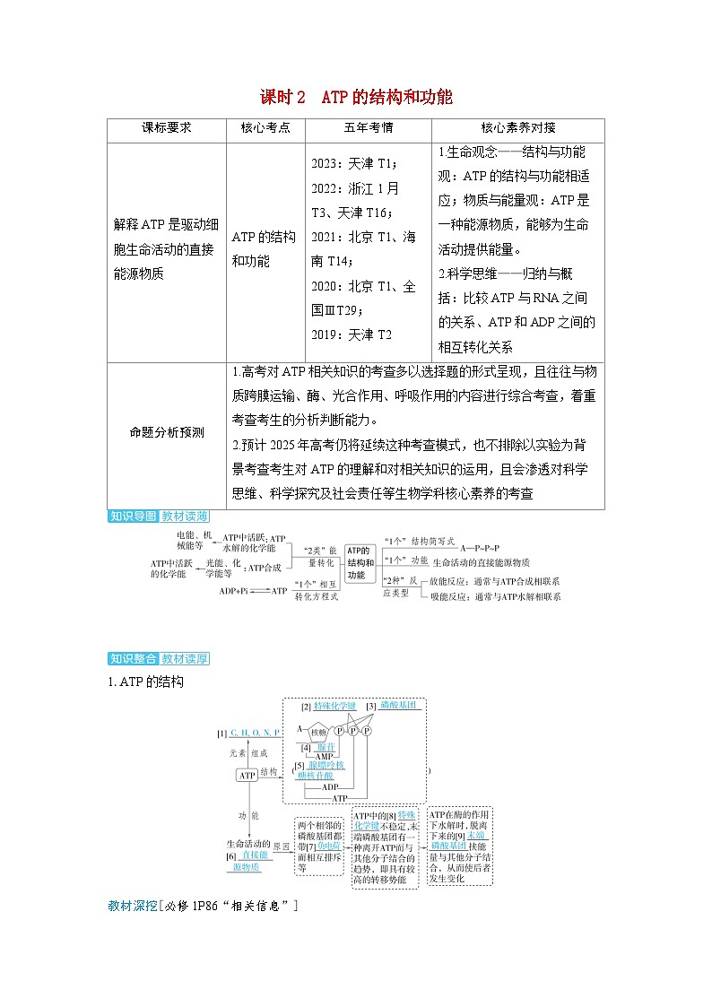 备考2024届高考生物一轮复习讲义第三章细胞代谢课时2ATP的结构和功能第1页