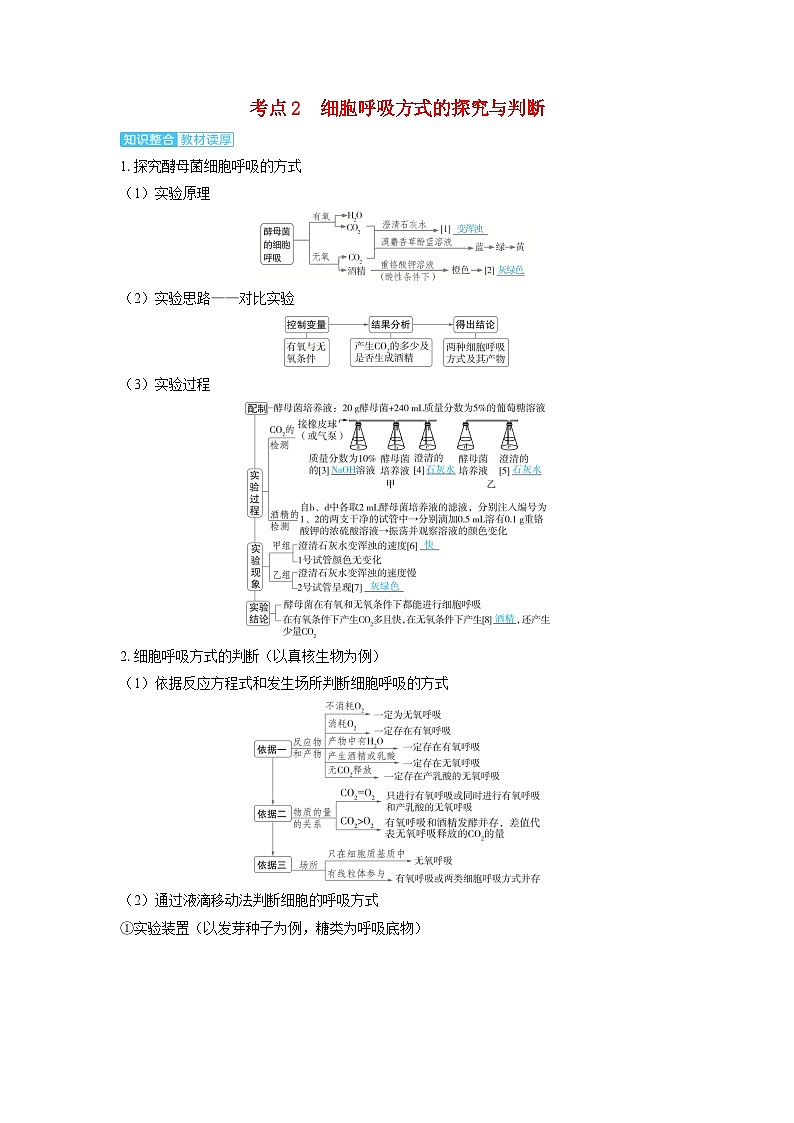 备考2024届高考生物一轮复习讲义第三章细胞代谢课时3细胞呼吸的原理和应用考点2细胞呼吸方式的探究与判断第1页