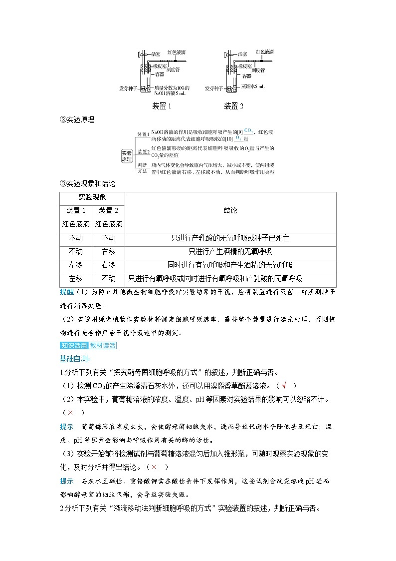 备考2024届高考生物一轮复习讲义第三章细胞代谢课时3细胞呼吸的原理和应用考点2细胞呼吸方式的探究与判断第2页